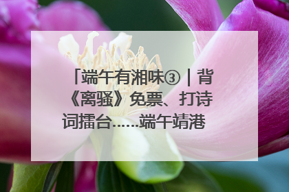端午有湘味③｜背《离骚》免票、打诗词擂台……端午靖港古镇趣味多